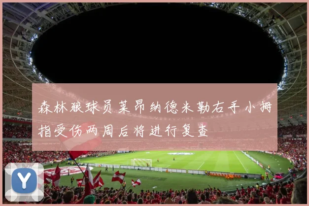 森林狼球员莱昂纳德米勒右手小拇指受伤两周后将进行复查